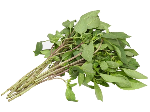 Húng quế sạch Lâm Thao (Húng chó) - Túi 50G