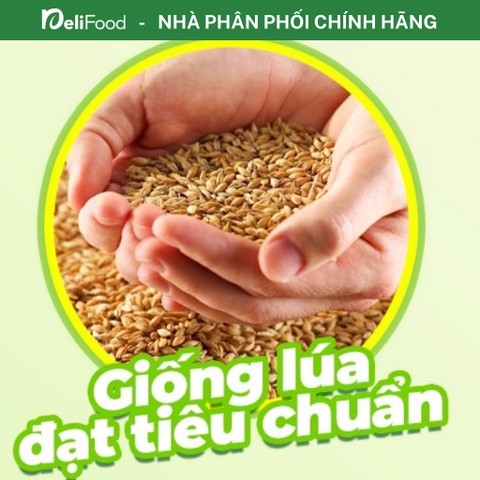 Gạo Thơm chính hãng A AN túi 5kg - Gạo Tám Thơm chuẩn gạo ngon Việt Nam, dẻo vừa, làm cơm chiên
