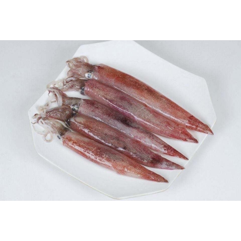 Mực Trứng Câu Size 18–22 200g – Căng Mực, Đầy Trứng, Hấp Chiên Đều Ngon