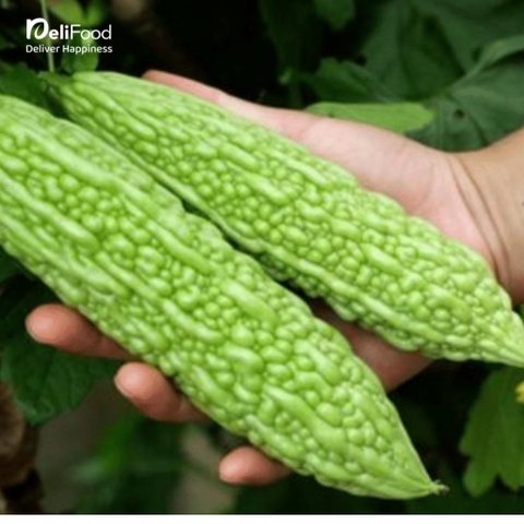 Mướp đắng ngon sạch - Túi 0.5Kg