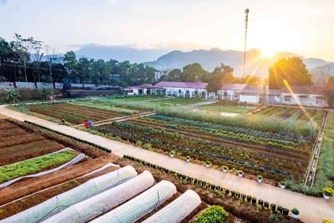Sản phẩm 1