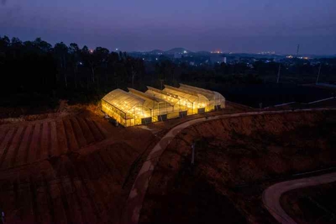 Sản phẩm 6