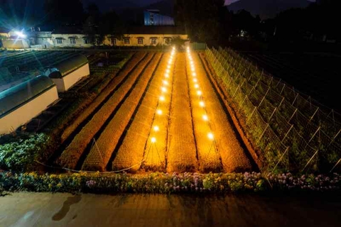 Sản phẩm 4