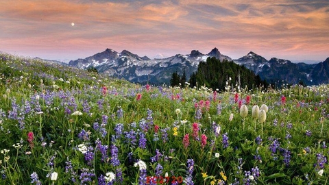 Tranh Phonh Cảnh Núi | Tranh Ngọc Việt - Đắk Lắk | Tranh Ngọc Việt - Xưởng Tranh Đẹp Buôn Ma Thuột (BMT) DakLak