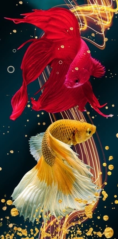 Tranh Cá Phong Thủy | Tranh Ngọc Việt - Đắk Lắk | Tranh Ngọc Việt - Xưởng Tranh Đẹp Buôn Ma Thuột (BMT) DakLak