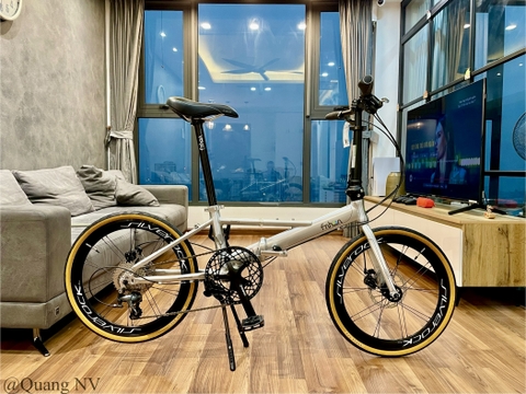 Xe đạp gấp ráp theo yêu cầu Fnhon Monsoon 20' phanh đĩa màu Silver