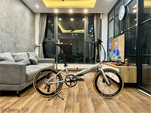 Xe đạp gấp ráp theo yêu cầu Fnhon Monsoon 20' phanh đĩa màu Silver
