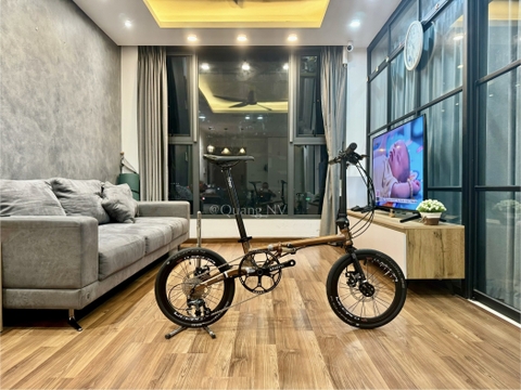 Xe đạp gấp Fnhon Gust 16' phanh đĩa