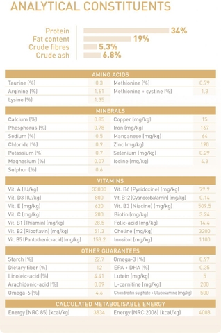 RC - British Shorthair - Dành cho mèo Anh lông ngắn