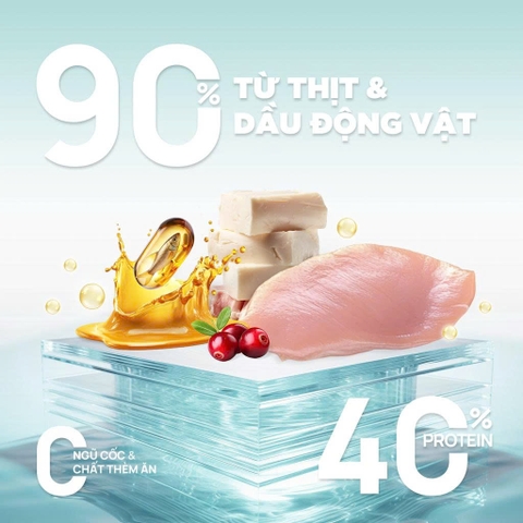 Thức ăn hạt cho mèo trưởng thành Churro C90 - PetQ