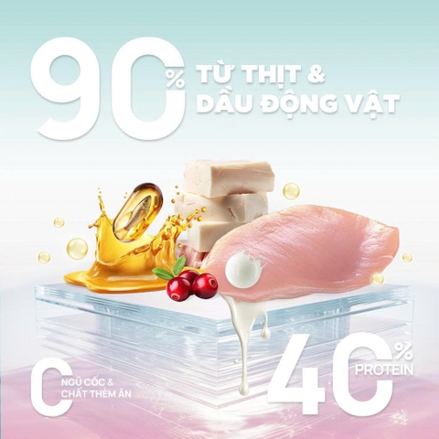 Thức ăn hạt cho mèo con Churro C90K - PetQ