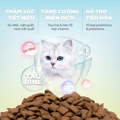 Thức ăn hạt cho mèo trưởng thành Churro C90U - PetQ