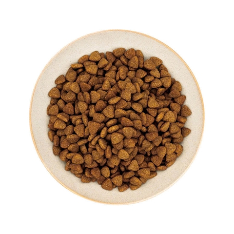 Thức ăn hạt cho chó trưởng thành giống lớn - HealthyChoice - Doggyman