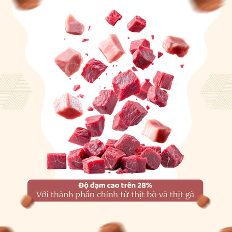 Thức ăn hạt cho chó trưởng thành giống nhỏ - HealthyChoice - Doggyman