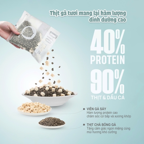 Thức ăn hạt cho mèo Macaron D10 PetQ