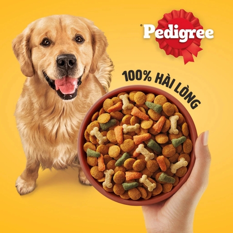 Thức ăn hạt cho chó Pedigree - Vị bò & rau củ 1,5kg