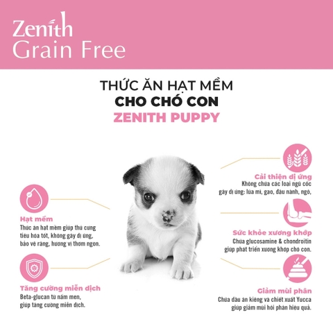 Thức ăn hạt mềm cho chó con - Zenith Puppy