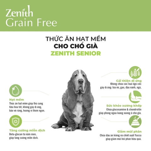 Thức ăn hạt mềm cho chó già - Zenith