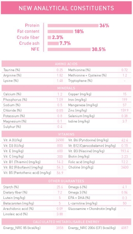 RC - Cat Kitten - Dành cho mèo con