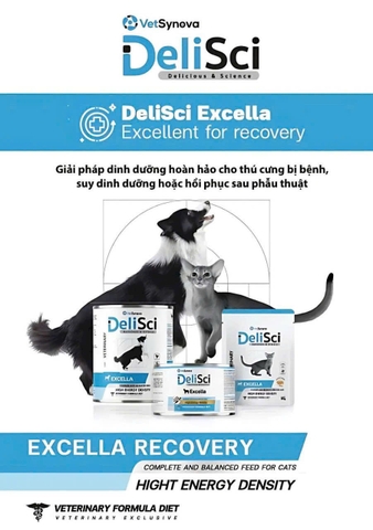 Pate dinh dưỡng Delisci Exella - Hỗ trợ phục hồi - 80g