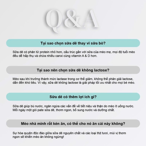 Pate sữa dê cho mèo PetQ