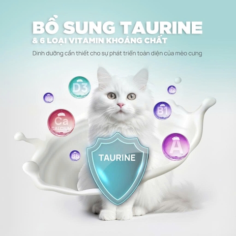 Súp thưởng sữa dê PetQ