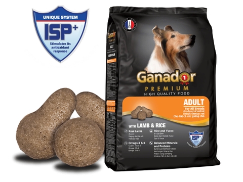 Hạt Chó Ganador- Premium- Adult - Vị Cừu - 3kg