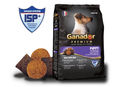 Hạt Chó con Ganador Puppy - Premium - 400g