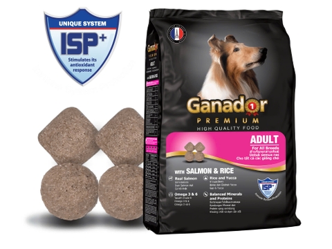 Hạt Chó Ganador - Premium - Adult - Cá hồi và gạo - 400g