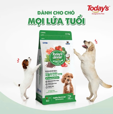Thức ăn hạt cho Chó mọi lứa tuổi - ToDay Dinner