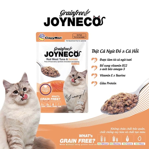 Pate cho mèo Joyneco - 60g