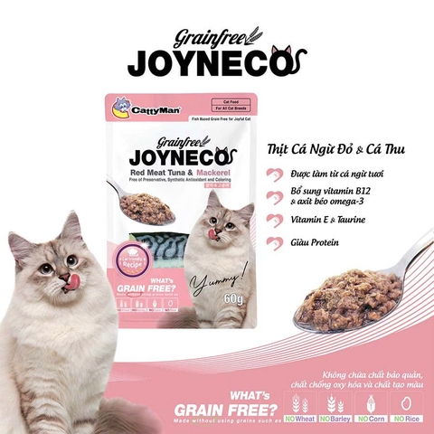 Pate cho mèo Joyneco - 60g