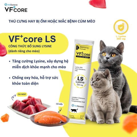 Súp thưởng VF Core L-Lysine