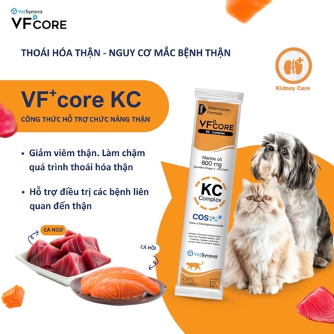 Súp thưởng VF Core KC - Hỗ trợ thận