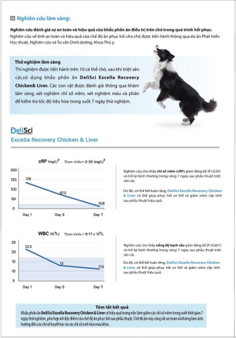 Pate dinh dưỡng Delisci Exella - Hỗ trợ phục hồi - 80g