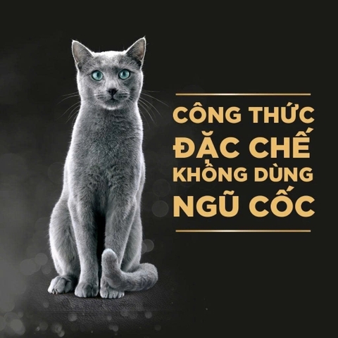 Pate cho mèo Sheba 70g