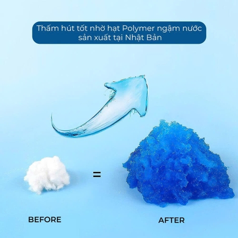 Tấm lót vệ sinh thú cưng Standard - HonneyCare