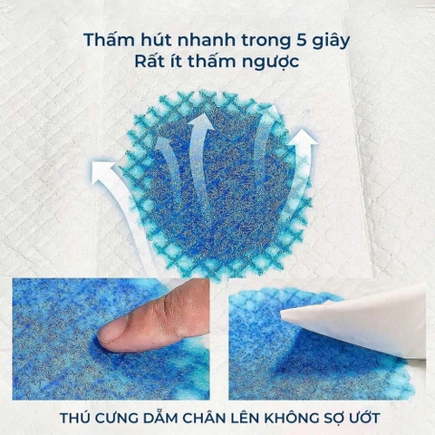 Tấm lót vệ sinh thú cưng Standard - HonneyCare