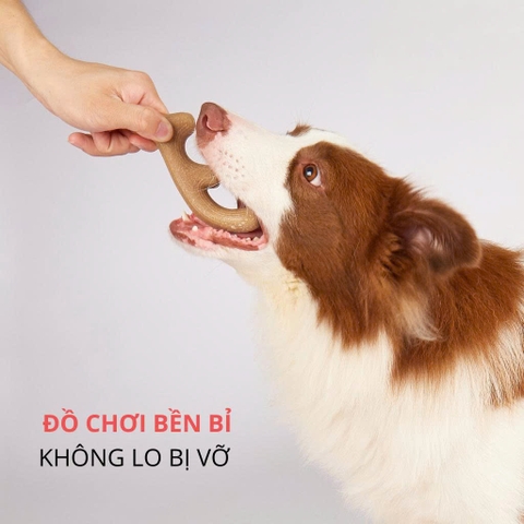 Đồ chơi cho chó - Fofos