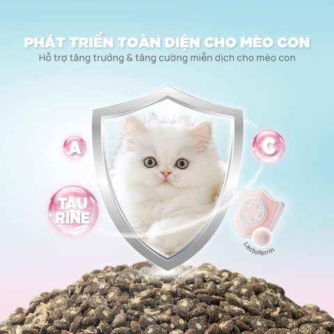 Thức ăn hạt Donut D90K PetQ - Mèo con
