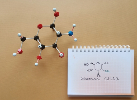 Uống glucosamine có hại thận không? Công dụng và cách dùng an toàn