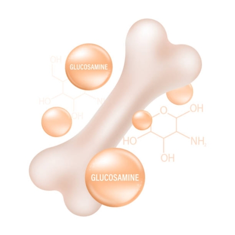 Glucosamine Là Gì Và Có Tác Dụng Như Thế Nào Đối Với Sụn Khớp ?
