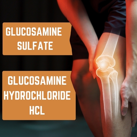 So sánh Glucosamine Sulfate Và Glucosamine Hydrochloride HCl: Loại Nào Hấp Thu Tốt Hơn ?