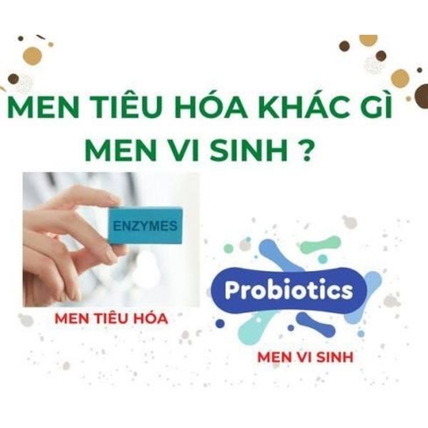 Men Vi Sinh (Probiotics) Là Gì? Khác Biệt Như Thế Nào So Với Men Tiêu Hóa?
