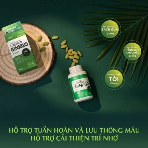 Review Kolmar Condition Ginkgo: Giải Pháp Tăng Tuần Hoàn Máu Não, Cải Thiện Trí Nhớ Từ Hàn Quốc