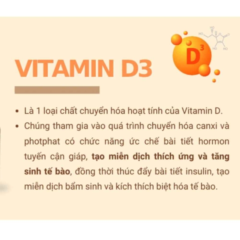 Vitamin D3 Có Tác Dụng Gì Đối Với Sức Khỏe? Lợi Ích Và Lưu Ý Khi Bổ Sung
