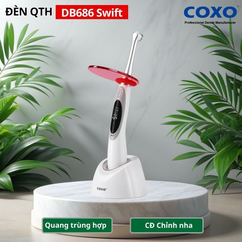 Đèn quang trùng hợp COXO DB-686 Swift