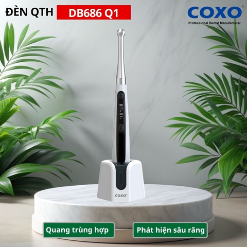 Đèn quang trùng hợp COXO DB686 Q1