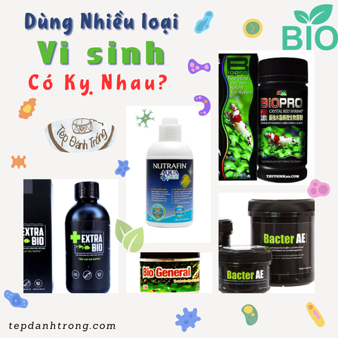 Sử Dụng Nhiều Loại Vi Sinh Khác Nhau Trong Bể: Có Gây Ra Hiện Tượng Kỵ Vi Sinh?