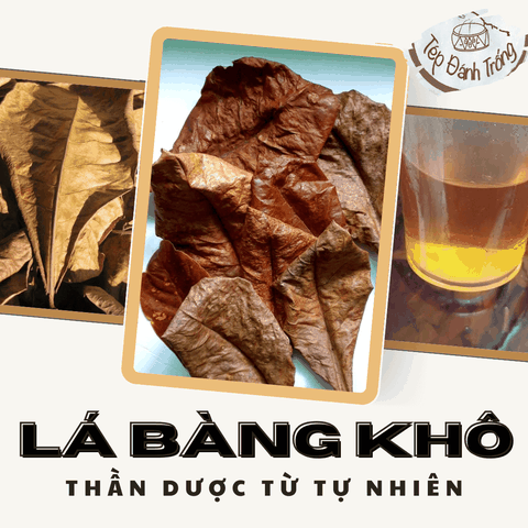 Lá Bàng Khô - Dược Phẩm Từ Tự Nhiên